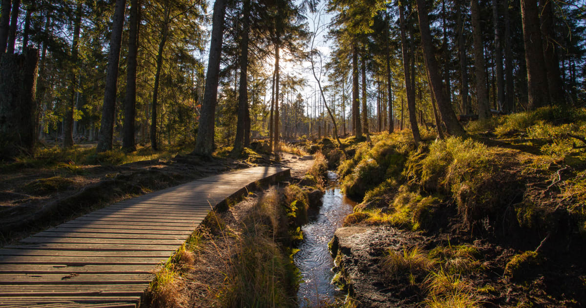 16 schönsten Nationalparks in Deutschland