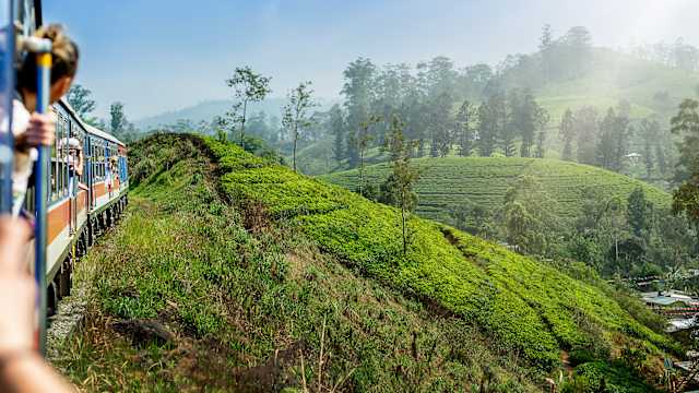 Ein Zug fährt zwischen Teeplantagen in Sri Lanka.