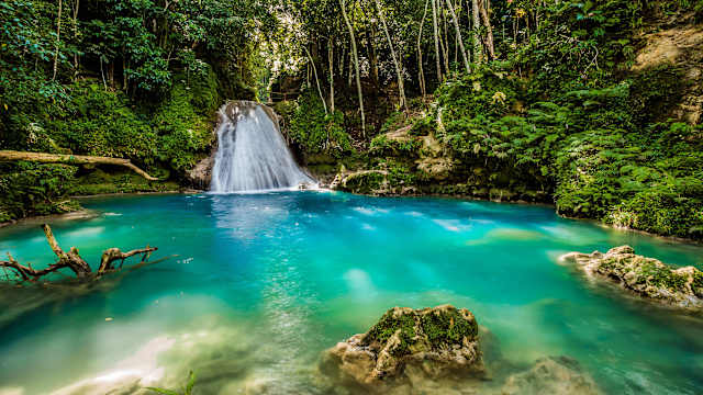 Ein Wasserfall im Wald von Jamaika.