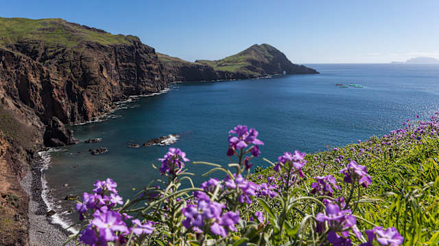 Klippen an der Küste von Madeira, Portugal.