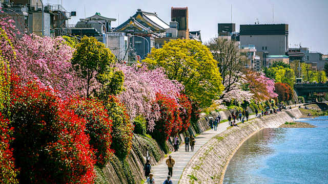 Menschen laufen neben bunt blühenden Bäumen am Fluss in Kyoto, Japan.