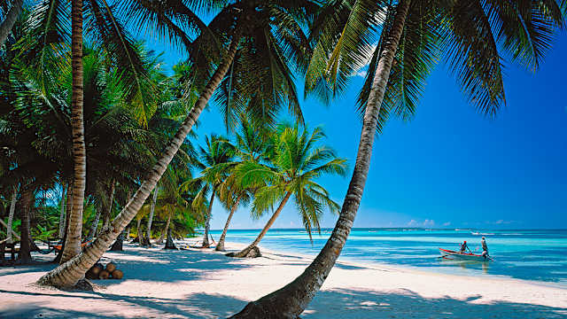 Palmenstrand, Parque Nacional del Este, La Altagracia, Dominikanische Republik