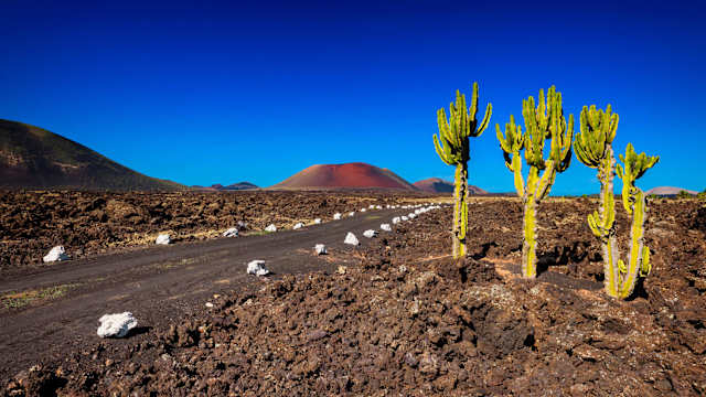 Eine Straße führt durch die Vulkanlandschaft des Timanfaya Nationalparks auf Lanzarote, Kanaren, Spanien.