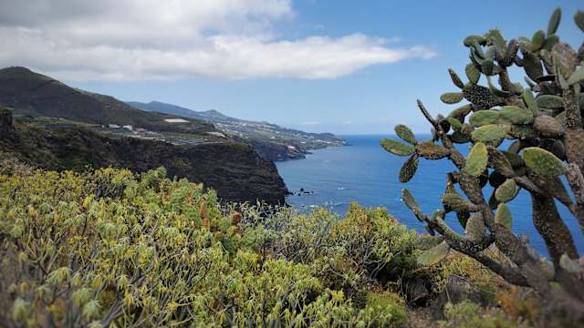 Tropische Landschaft, La Palma, Spanien