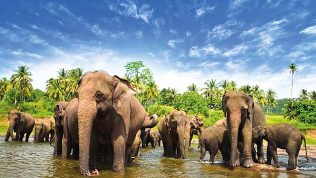 Sri Lanka