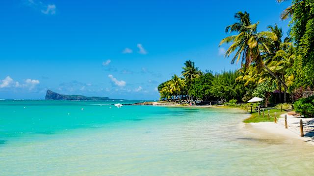 Ein Strand voller Palmen