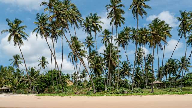 Strand Dikwella, Sri Lanka Südküste