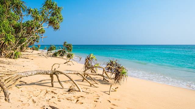 Strand Koggala, Sri Lanka Südküste