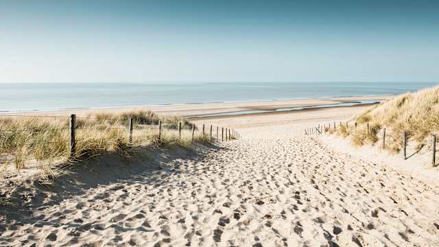 Dünen an der Nordsee Küste