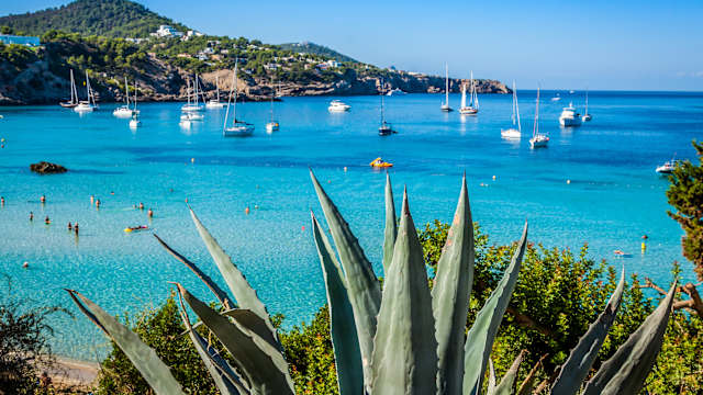 Strand San Jose, Cala Tarida, Ibiza