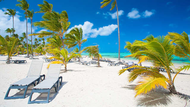 Ein Strand mit Palmen und Liegestühlen