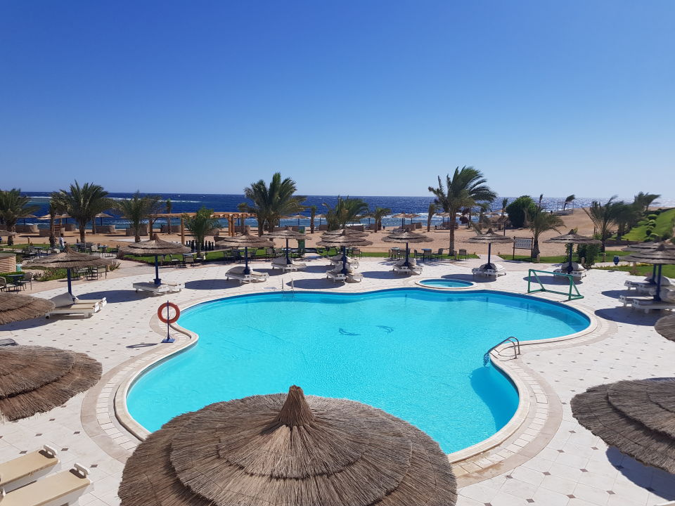 Ausblick Coral Sun Beach Safaga HolidayCheck Hurghada Safaga