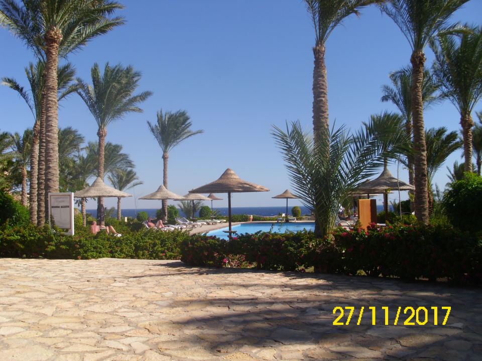 Pool Tamra Beach Resort Nabq Bay HolidayCheck Sharm El Sheikh