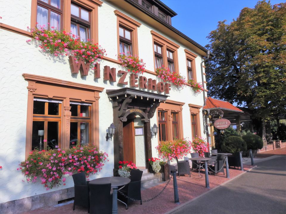 Au Enansicht Ringhotel Winzerhof Rauenberg Holidaycheck Baden