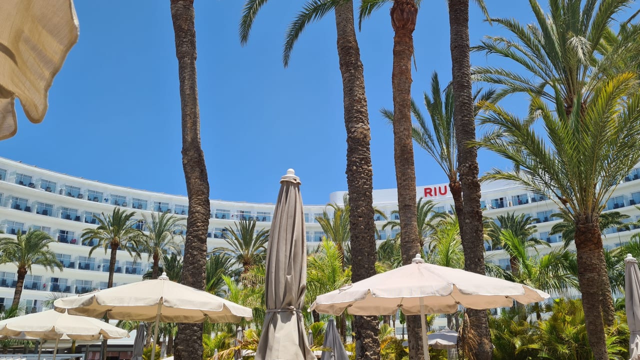 Blick Vom Poolbereich Auf Hotel Riu Palace Palmeras Playa Del