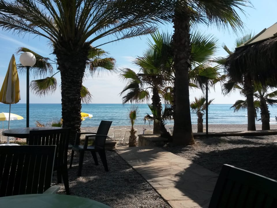 Strandbar Hotel Yetkin Alanya Konakli HolidayCheck Türkische