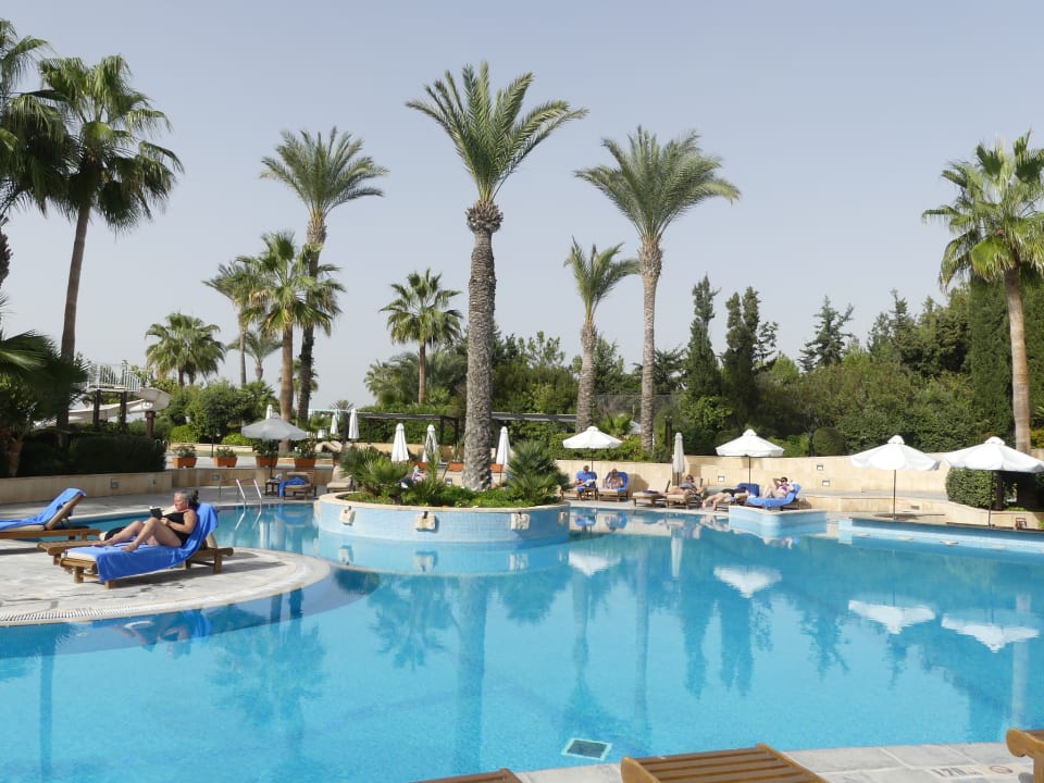 Pool Hotel Elysium Paphos Holidaycheck S Dzypern Zypern