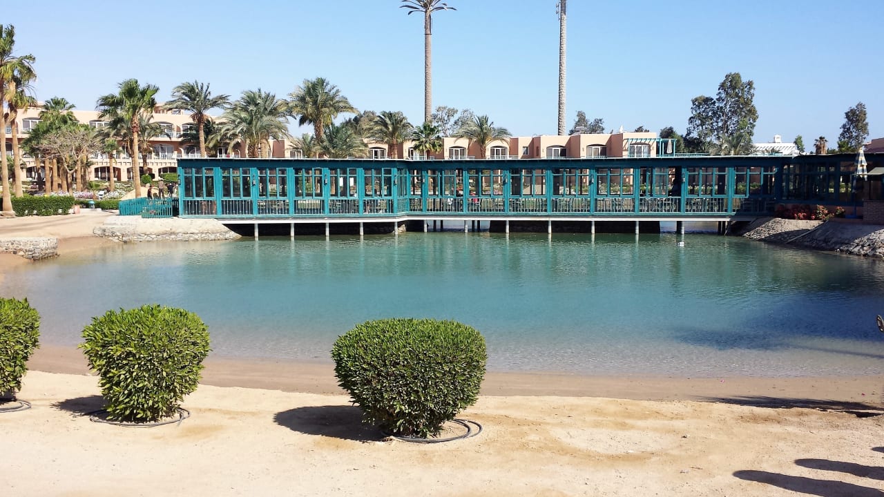 Gastro Club Paradisio El Gouna Red Sea El Gouna Holidaycheck