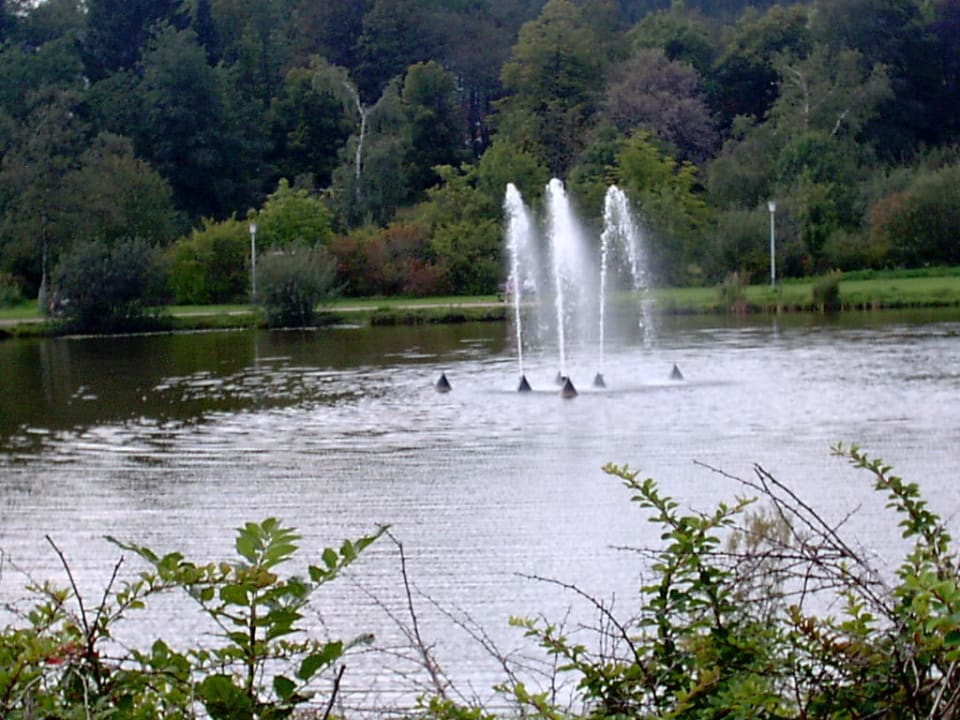 Blick Von Der Terrasse Au Hotels Am Kranichsee Goslar