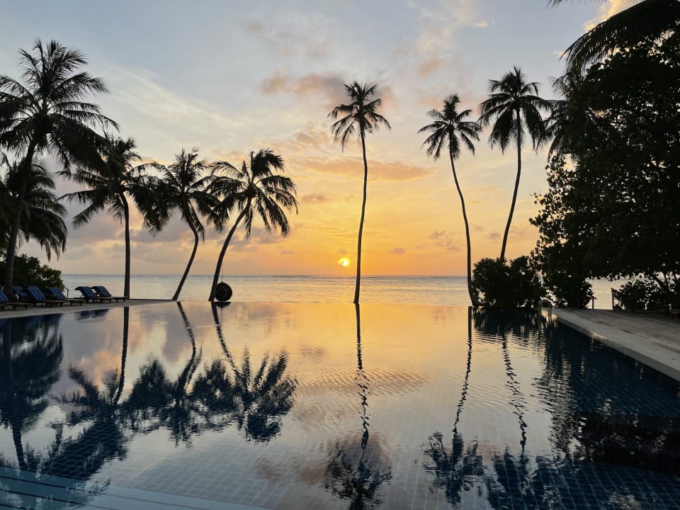 Pool Meeru Maldives Island Resort Dhifushi Holidaycheck Kaafu