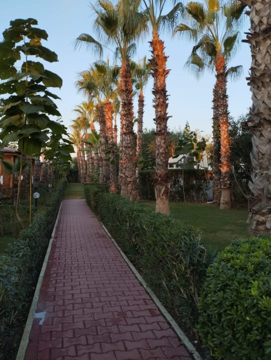 Gartenanlage Hotel Delphin Diva Lara HolidayCheck Türkische