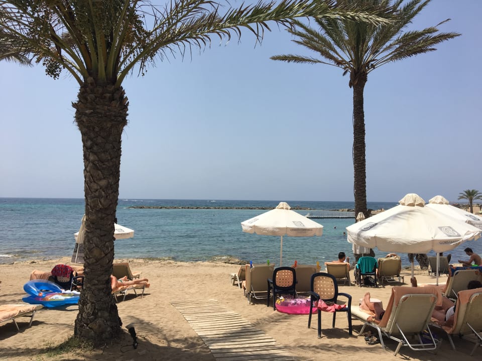 Strand Tui Blue Pioneer Beach Paphos Holidaycheck S Dzypern