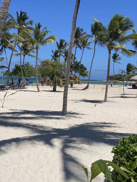 Strand Serenade Punta Cana Beach Spa Resort Punta Cana