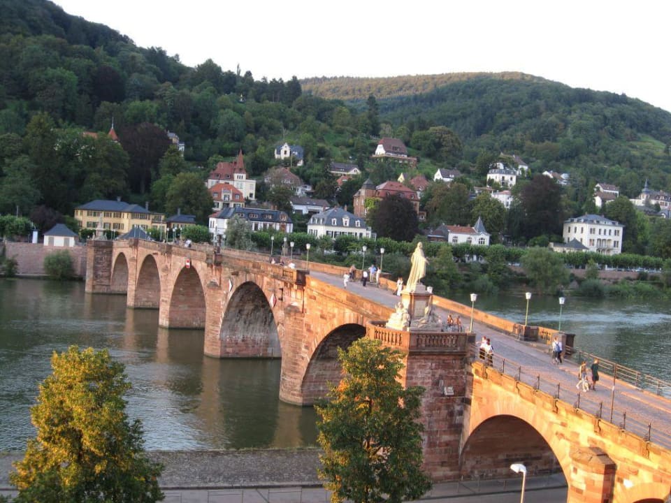 Alte Brücke direkter Bl Hotel Holländer Hof Heidelberg