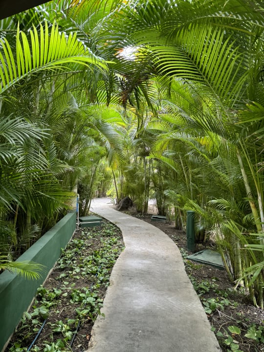 Gartenanlage Grand Palladium Punta Cana Resort Spa Bavaro