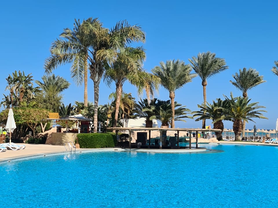 Erwachsenen Pool Mit Bar Stella Beach Resort Spa Makadi Bay Makadi