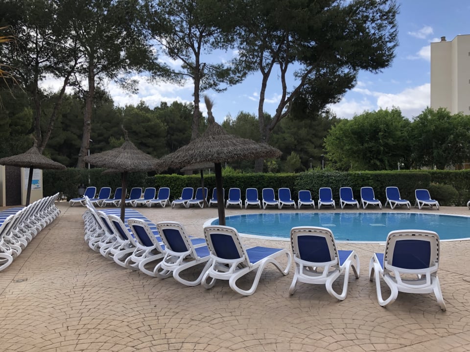 Pool Hotel HM Mar Blau Sa Coma HolidayCheck Mallorca Spanien