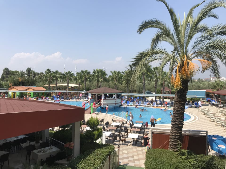 Pool Fun Sun Smart Hane Sun Hotel Colakli Holidaycheck T Rkische