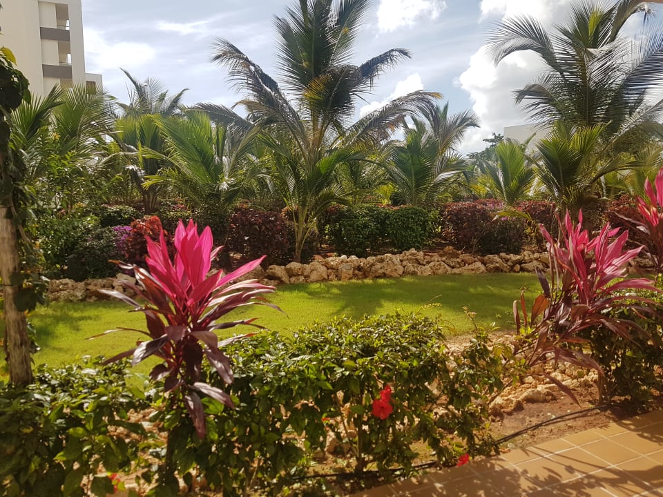 Gartenanlage Hotel Riu Jambo Kendwa Holidaycheck Zanzibar