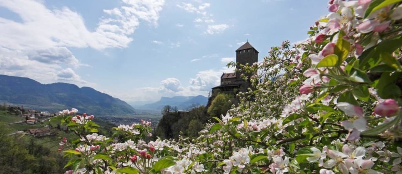 Schlo Tirol Im Fr Hling Hotel Alpenhof Tirolo Dorf Tirol