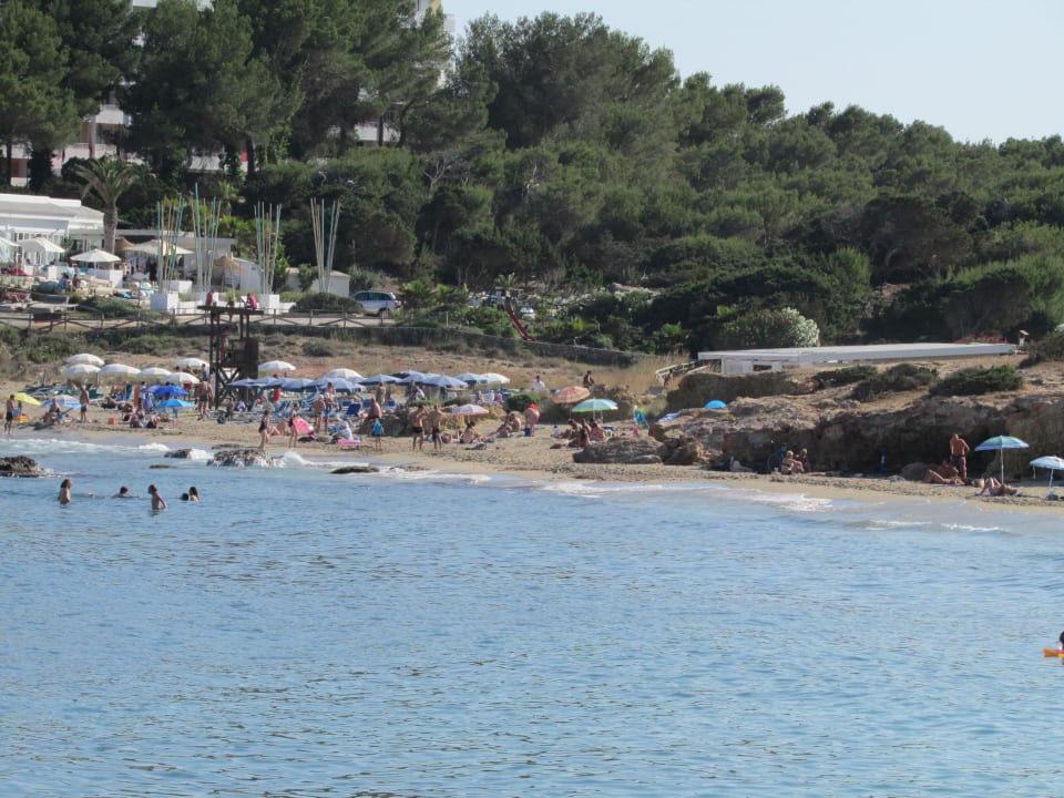 Cala Martina Coral Beach By Llum Es Canar Holidaycheck Ibiza