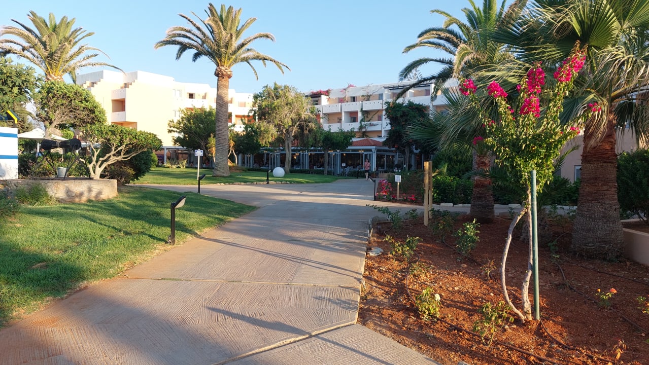 Gartenanlage Anissa Beach Village Anissaras Holidaycheck Kreta