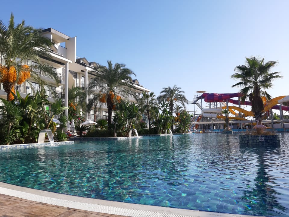 Pool Dream World Palace Hotel Colakli Holidaycheck T Rkische