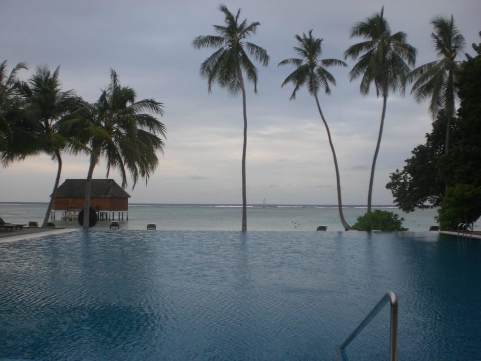 Infinity Pool Meeru Island Resort Spa Dhifushi Holidaycheck