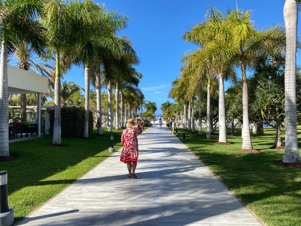 Der Weg Vom Haupthaus Zu Hotel Riu Palace Meloneras Meloneras