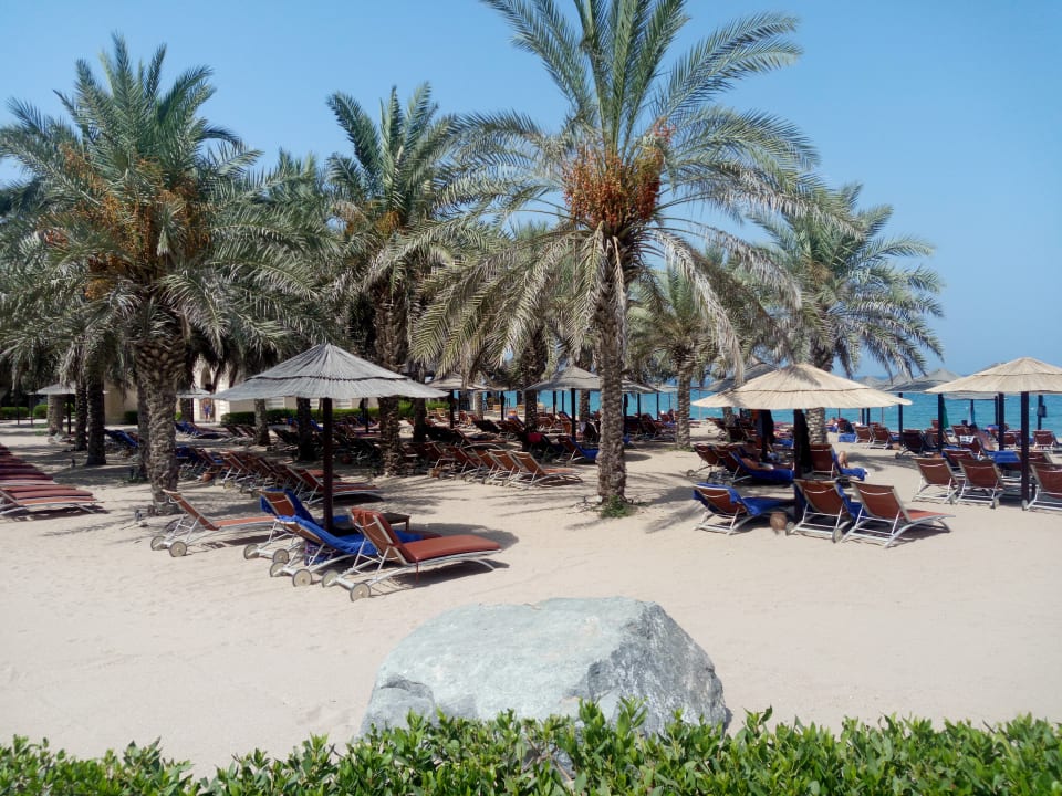 Strand Miramar Al Aqah Beach Resort Al Aqah HolidayCheck