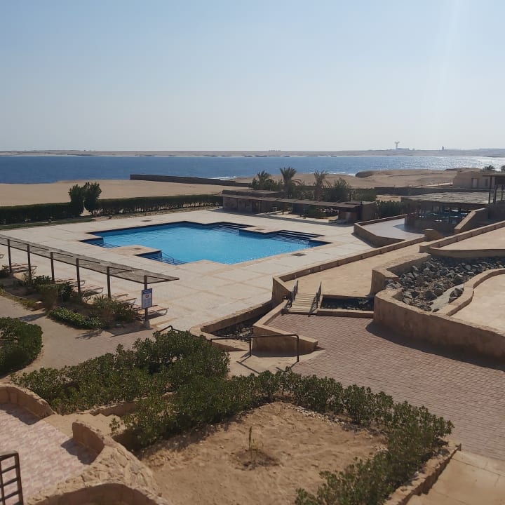 Pool Viva Blue Resort Soma Bay Holidaycheck Hurghada Safaga