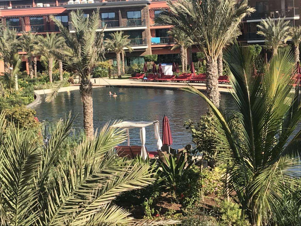 Pool Hilton Cabo Verde Sal Resort Santa Maria HolidayCheck Sal