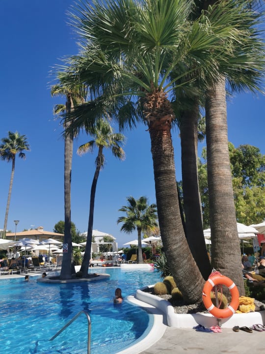 Pool Allsun Hotel Eden Alcudia Alcudia Holidaycheck Mallorca