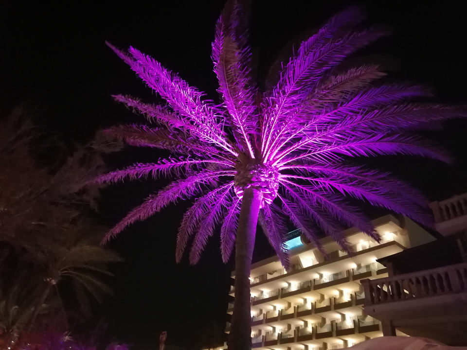 Gartenanlage Iberostar Bahia De Palma Platja De Palma Playa De