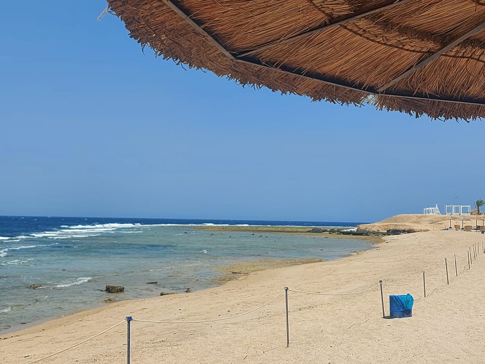 Strand Coral Sun Beach Safaga Holidaycheck Hurghada Safaga