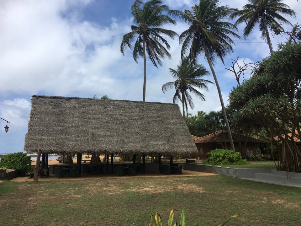 Ausblick Ranweli Holiday Village Waikkal Holidaycheck Sri Lanka