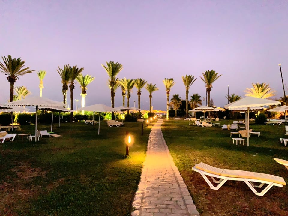 Au Enansicht Calimera Delfino Beach Resort Spa Hammamet