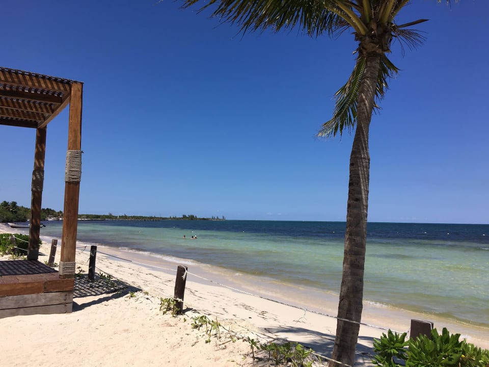 Strand an einem der schön BlueBay Grand Esmeralda Playa del