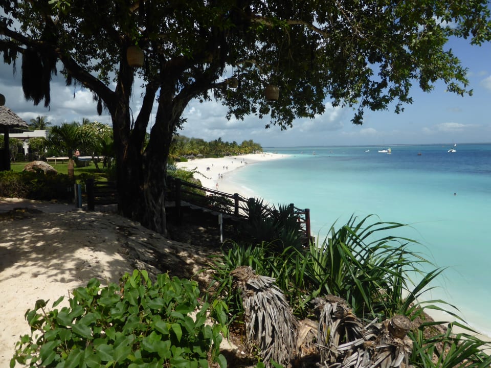 Gartenanlage Hotel Riu Palace Zanzibar Kendwa Holidaycheck