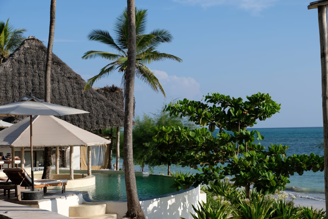 Infinity Pool Oberhalb De Baladin Zanzibar Beach Hotel Pingwe